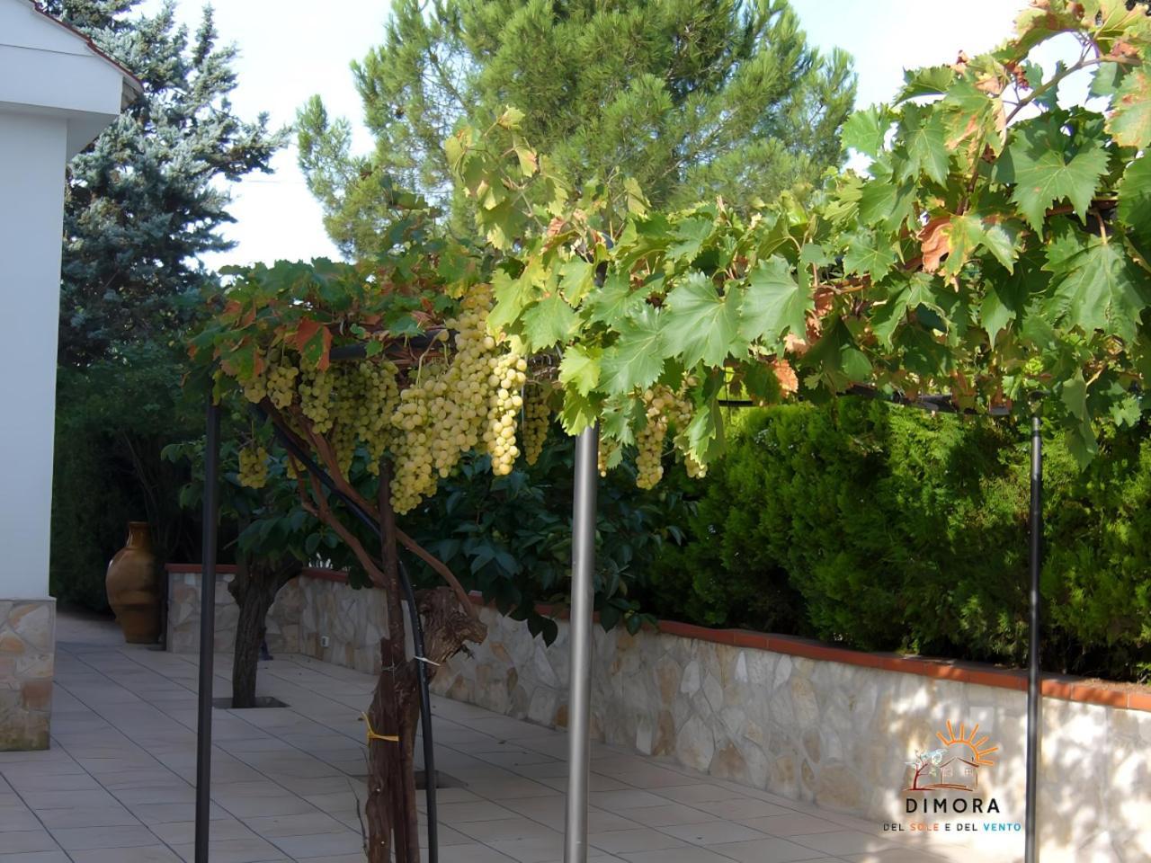 Dimora Del Sole E Del Vento Apartment Crispiano Exterior foto